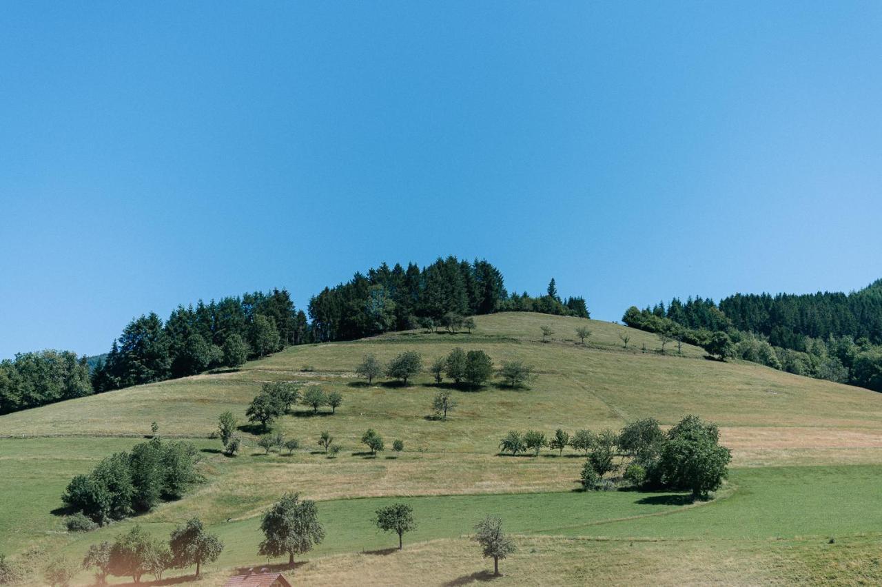 Moderne 2 Zi.-Fewo Blackforestart Naehe Freiburg Simonswald Exteriör bild
